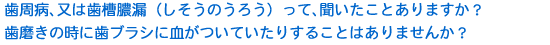 歯周病、又は歯槽膿漏(しそうのうろう)って､聞いたことがありますか？歯磨きの時に歯ブラシに血がついたりすることはありませんか？