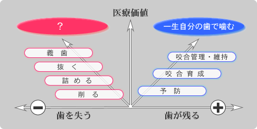 永久歯が生える前の歯もその後の歯の成長に影響