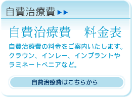 歯の自費治療費/歯の自費治療費料金表：自費治療費の料金をご案内。クラウン、インレー、インプラントやラミネートベニアなど